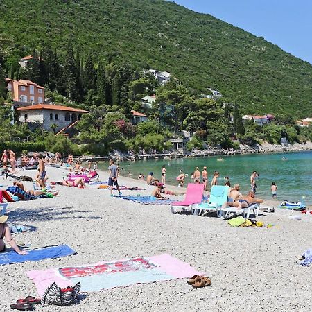 Apartments And Rooms With Parking Space Trpanj, Peljesac - 250 מראה חיצוני תמונה